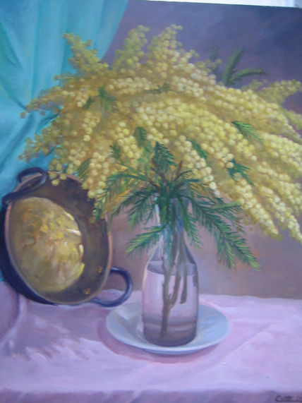 Mimosa