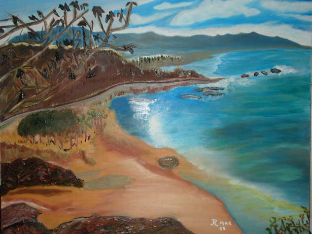 La Playita Oil Panel Landscaping