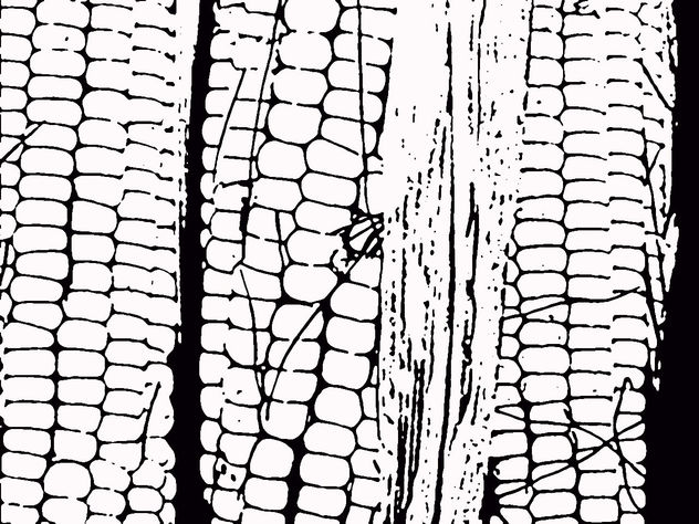 elotes