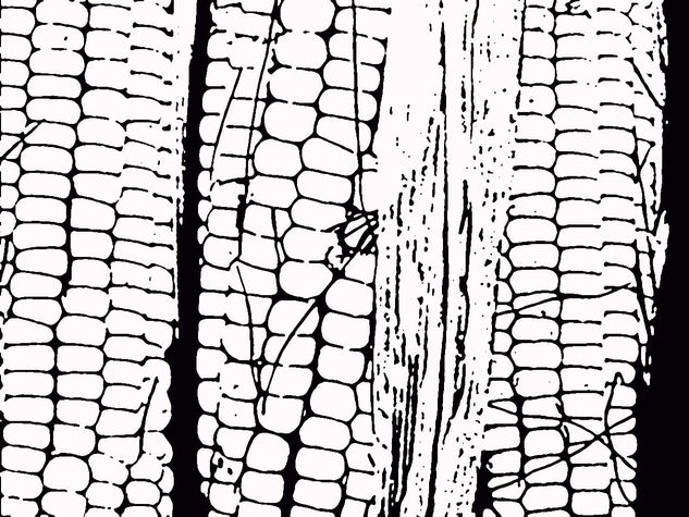 elotes Naturaleza Blanco y Negro (Digital)