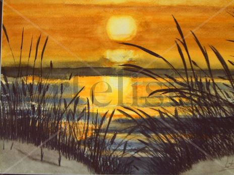 Atardecer