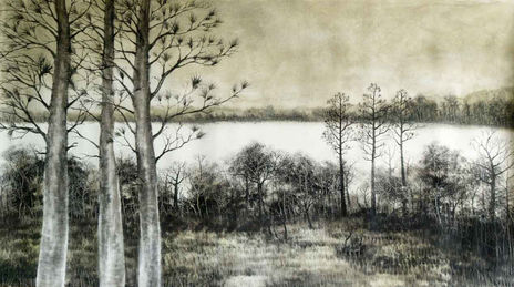 Pinares en el Rosario