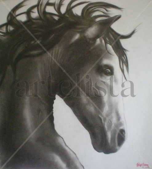 Prieto Azabache Charcoal