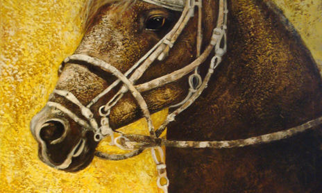Mi Arte Equino