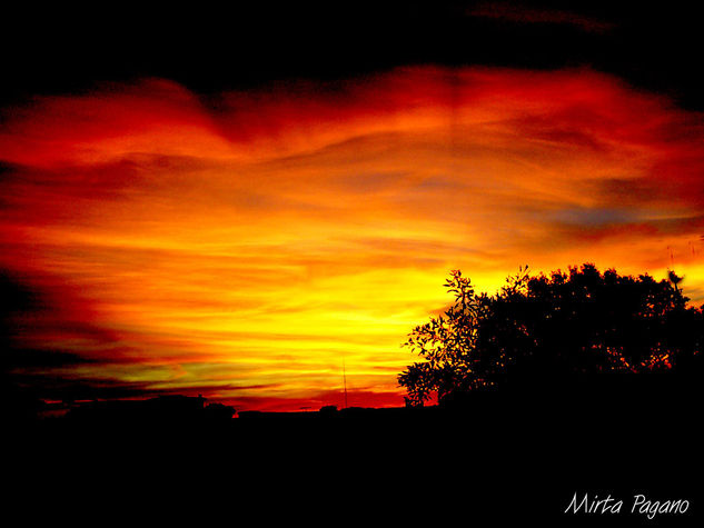 Labios de cielo Nature Color (Digital)