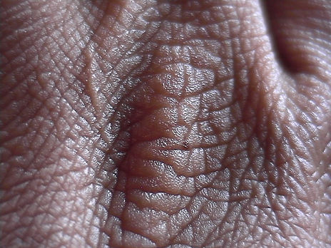 Mano