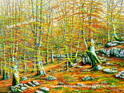 Hayedos 73x54 cm.nº...