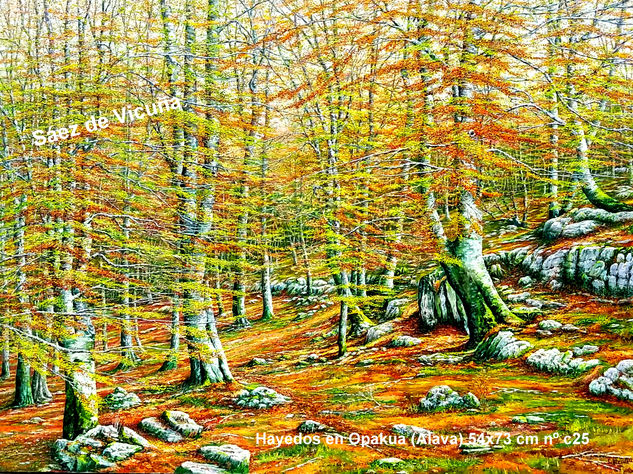 Hayedos 73x54 cm.nº c25. Óleo Lienzo Paisaje