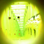 Fotografia Abstracta thumbnail 1