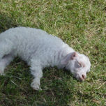 fotos recuerdos thumbnail 1
