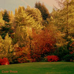SERIE OTOÑO thumbnail 2