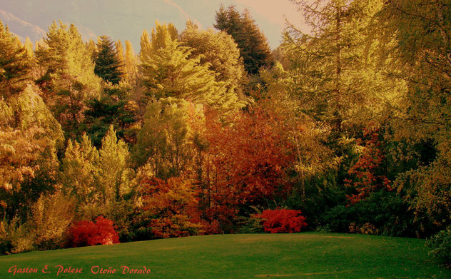 OTOÑO DORADO