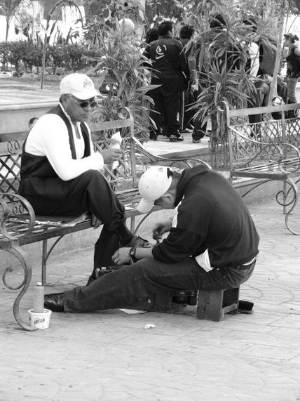 Un dia en el parque.