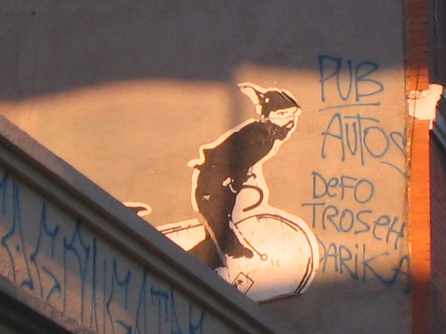 ciclista en ruta 2