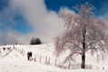 Nieve en el cerro