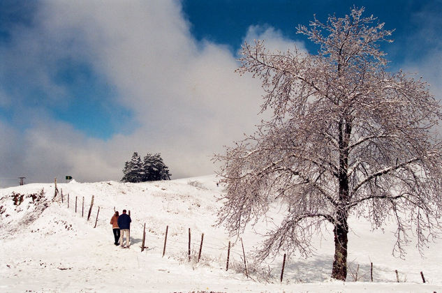 Nieve en el cerro 