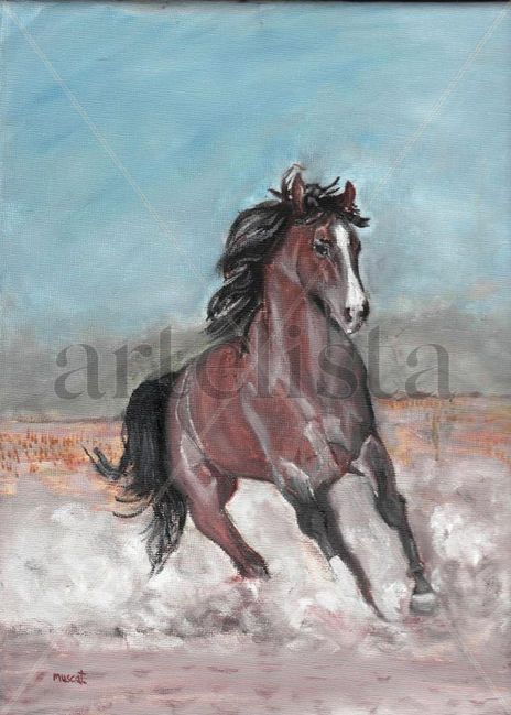Wild horse