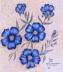 Flores de lino