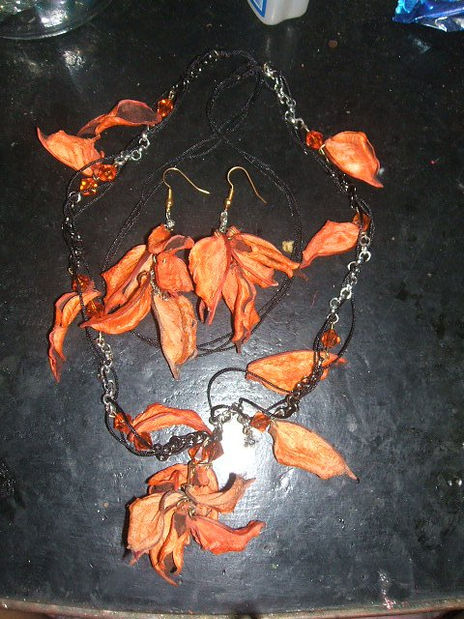 Collar + aros orange