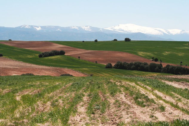 Ancha es Castilla 