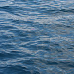 Naturaleza thumbnail 2