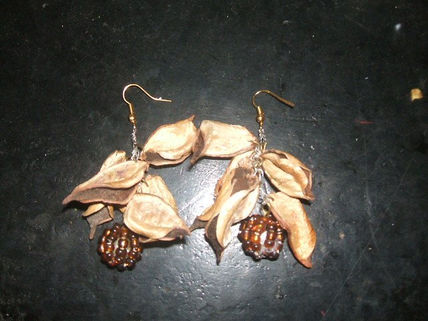 Aros con fruto...