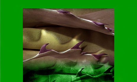 ENSUEÑOS Y TEXTURAS VEGETALES09