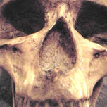 calaveritas thumbnail 1