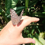 NATURALEZA thumbnail 1