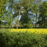 fotografia thumbnail 1