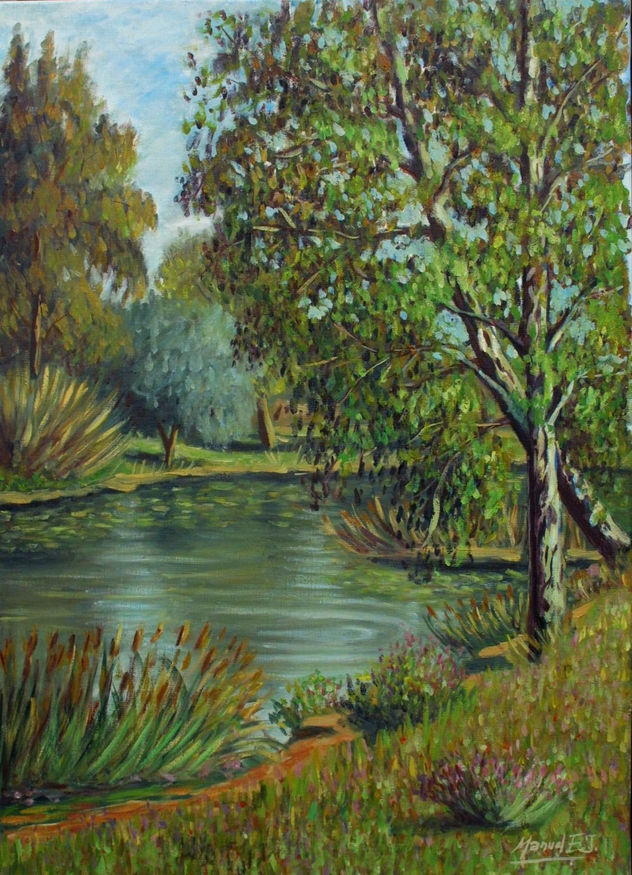remanso del rio guadiana