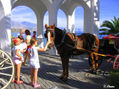 Los coches de caballos es muy típico de Nerja, para pasear a los turistas