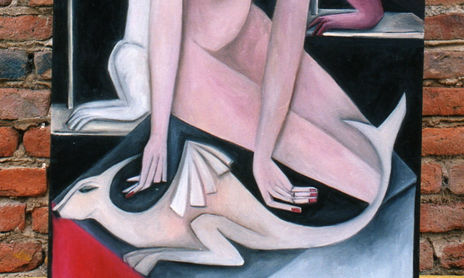 METAMORFOSIS, ARTILUGIOS E HIBRIDOS