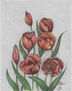 Tulipanes