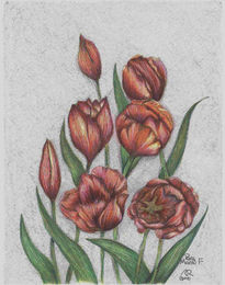 Tulipanes