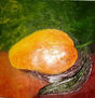 Mangos