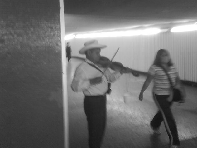 VIOLINISTA