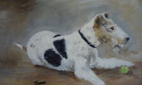 Perros