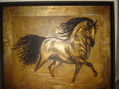 Semental Lusitano