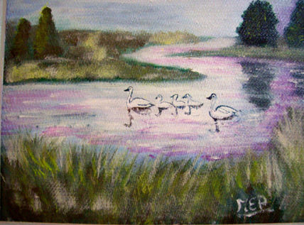 Cisnes en el lago