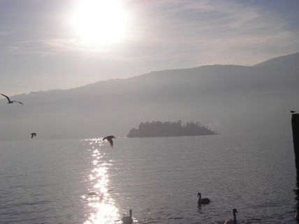 Lago maggiore