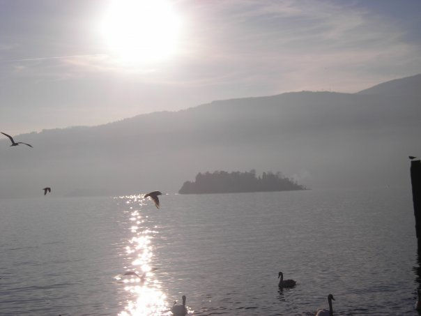 lago maggiore 