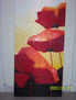 amapolas 3