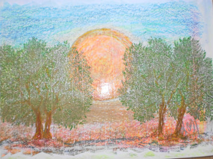 Olivos y sol