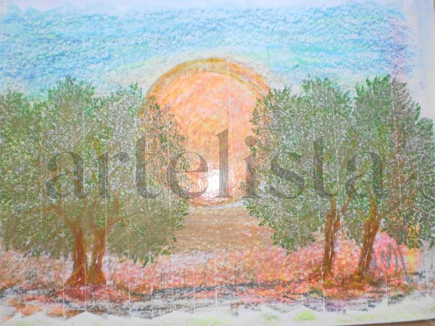 olivos y sol Acrylic Card Landscaping