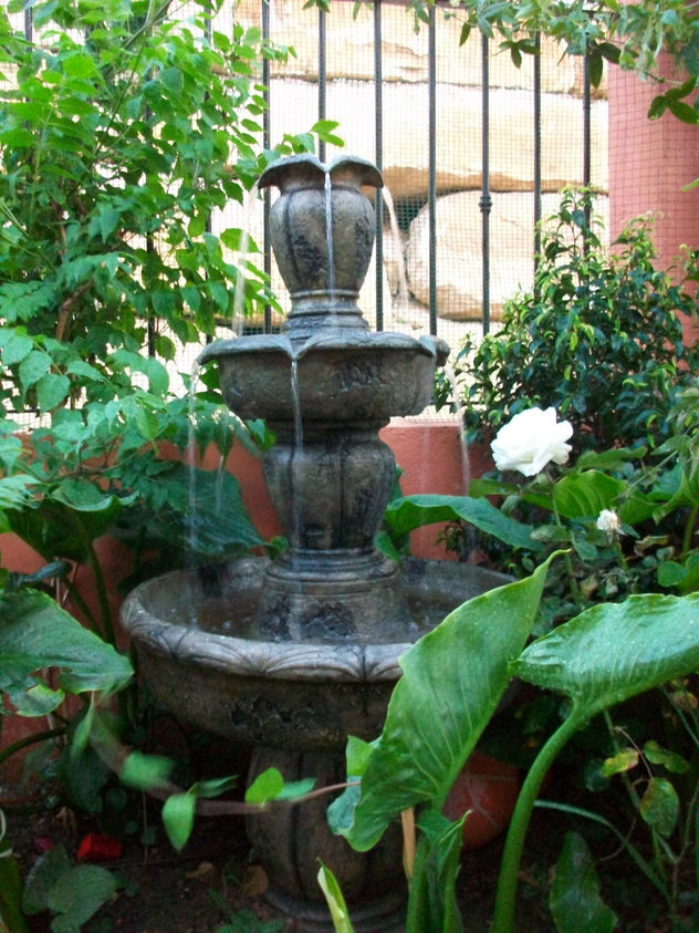 mi jardin
