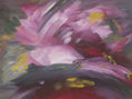 Flores siklvestres