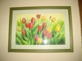 tulipanes