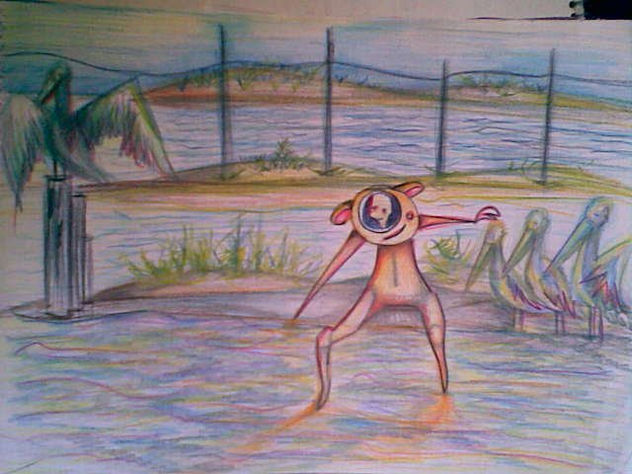 El amigo de las aves.