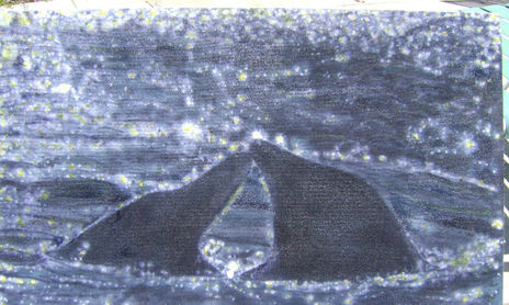 airbrush.oceano.peces.
